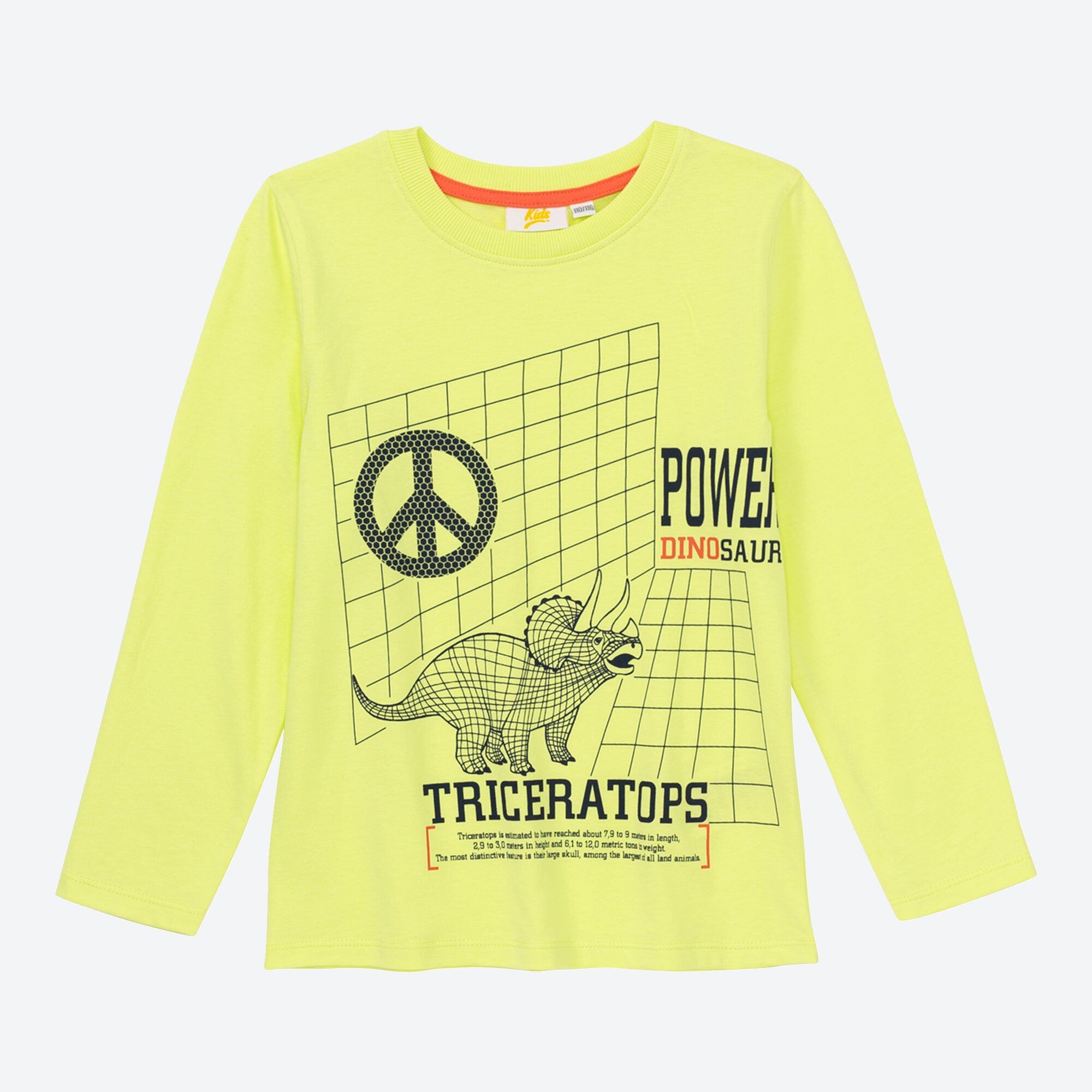 Jungen-Shirt mit Dino-Aufdruck                                                                                                                                                                