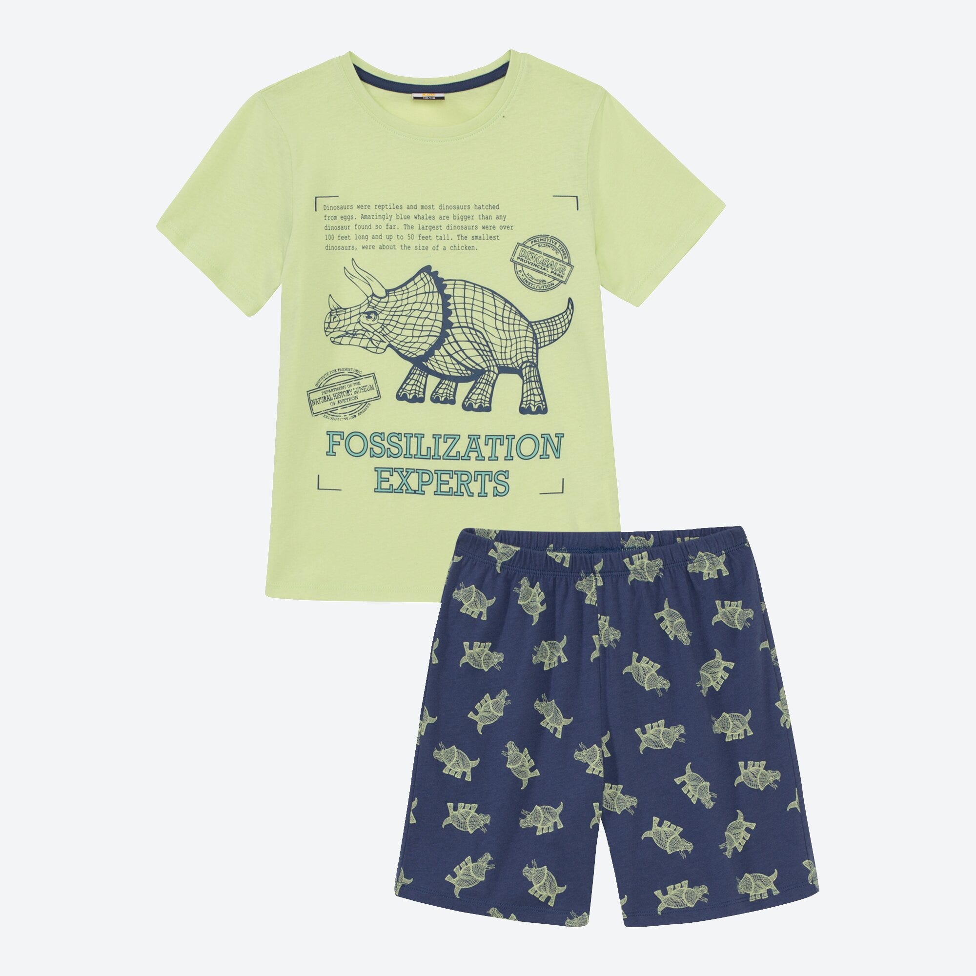 Jungen-Shorty mit Dino-Muster, 2-teilig