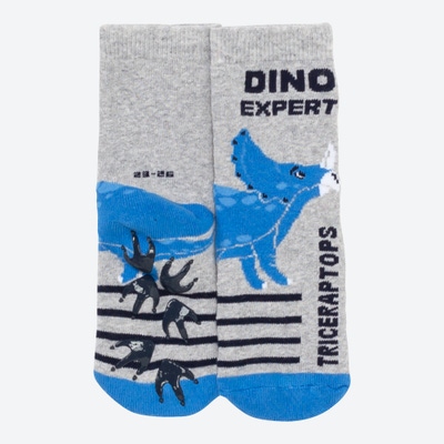 Jungen-ABS-Socken mit Dino-Design