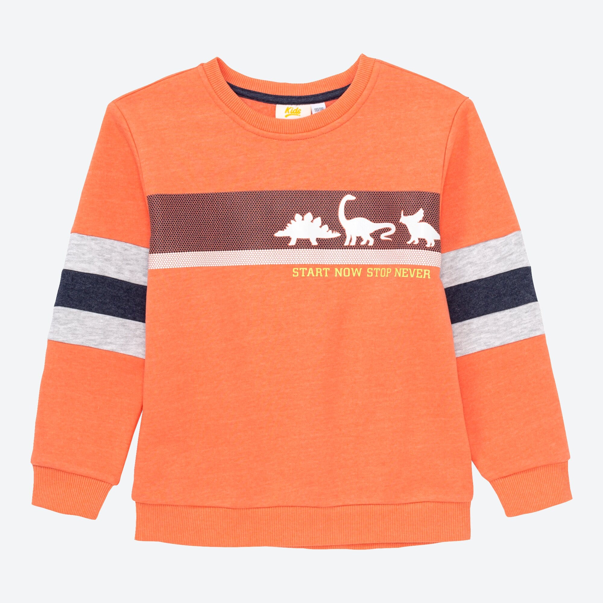 Jungen-Sweatshirt mit Streifen