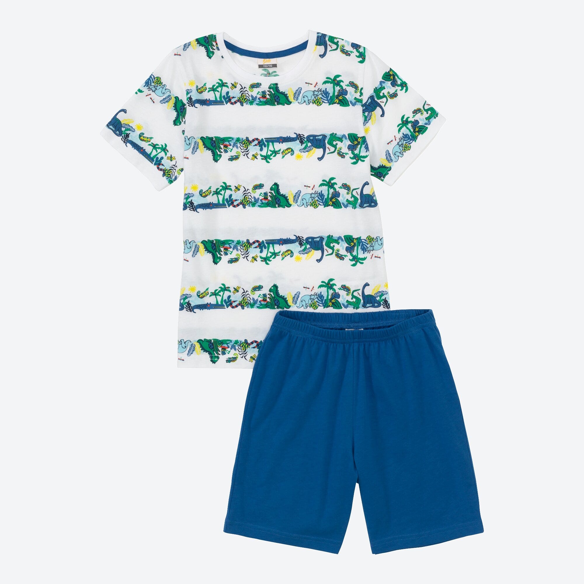 Jungen-Shorty mit Dino-Design, 2-teilig