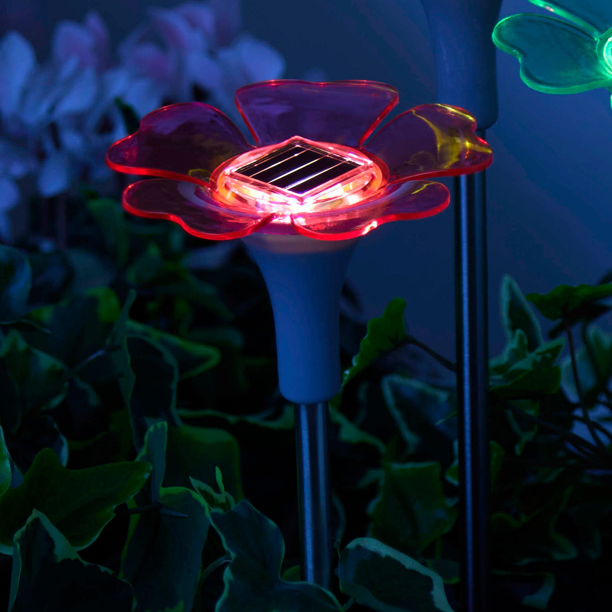 Solar-Blume, ca. 10x34cm