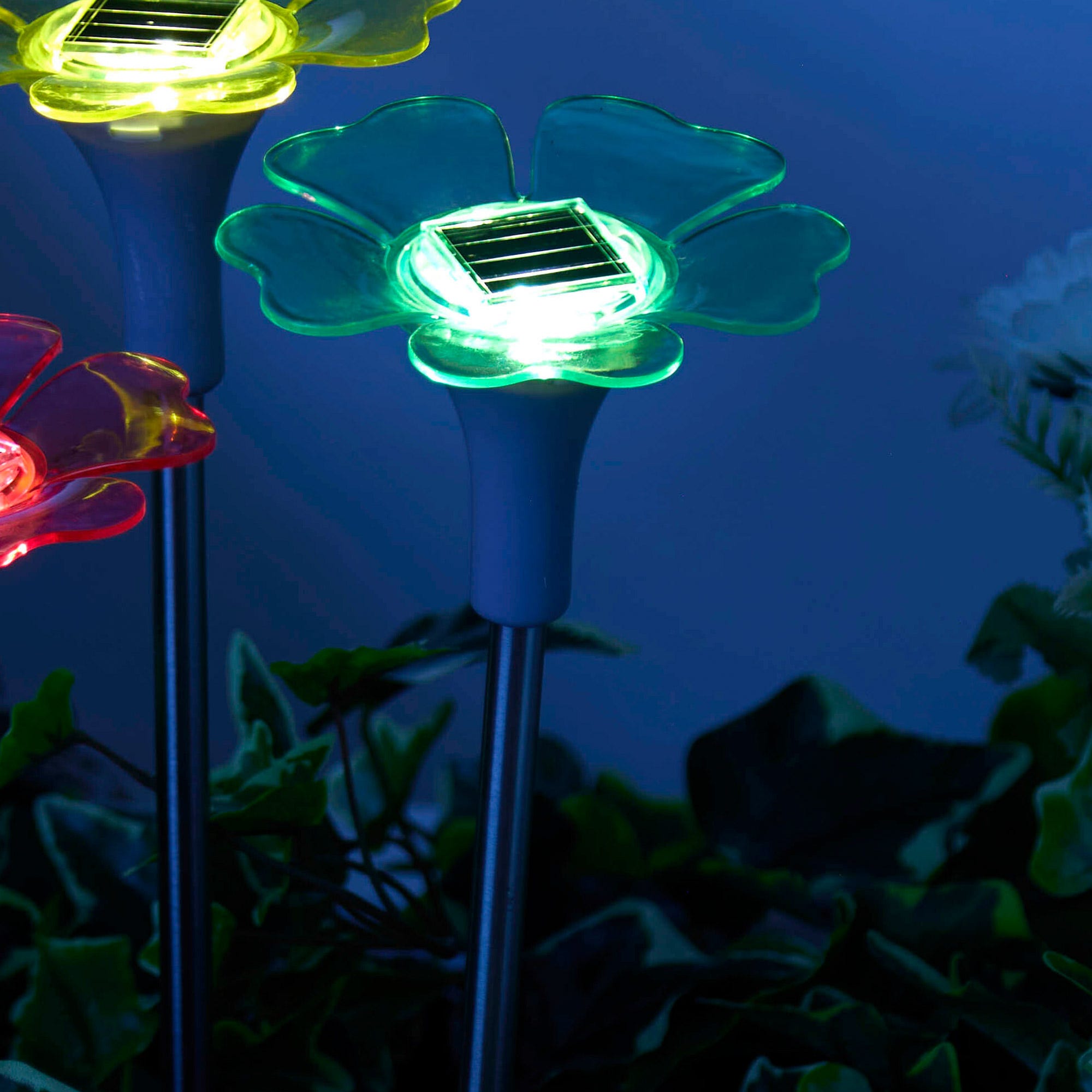 Solar-Blume, ca. 10x34cm